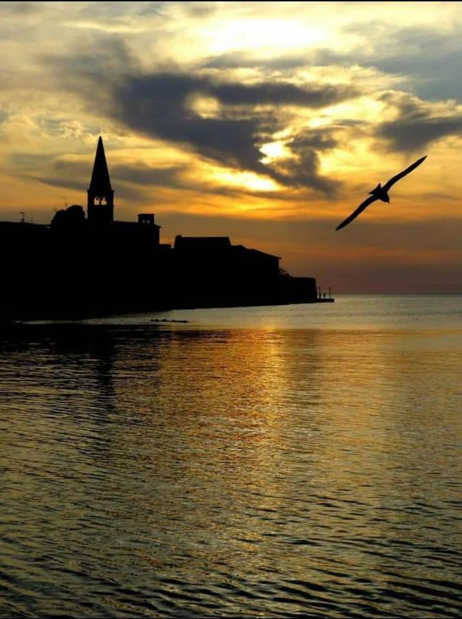 Apartman Pinezic Apartment Poreč